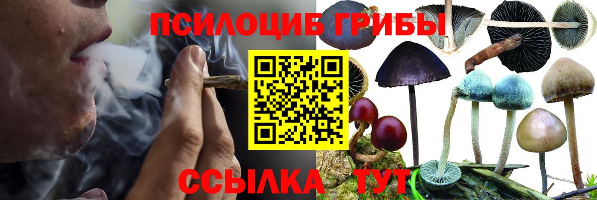 Донской  Галлюциногенные грибы Psilocybe  Галлюциногенные грибы GOLDEN TEACHER  Вход с VPN 